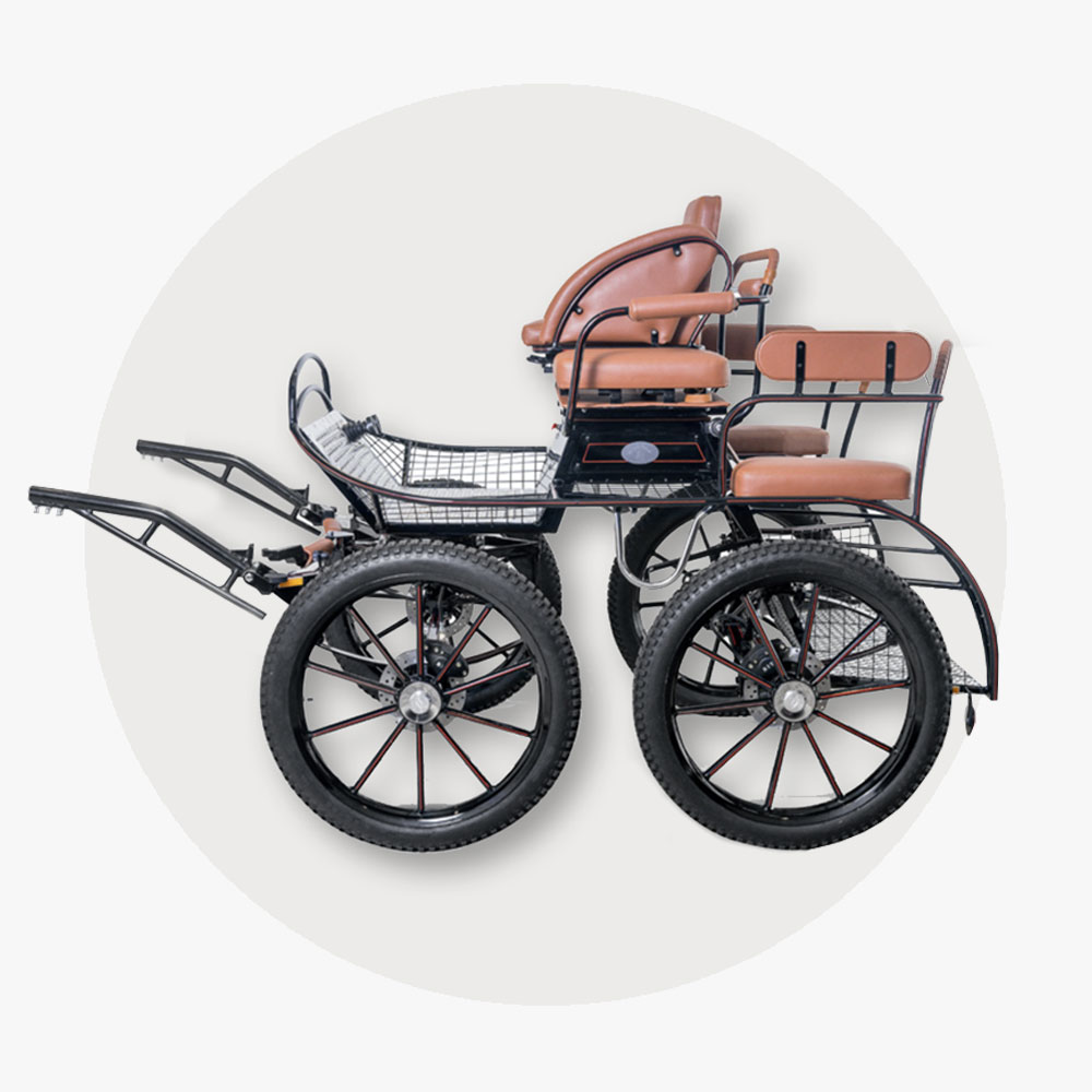 Kutschen Schnäppchen