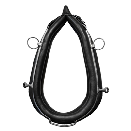 Kategorie - Fahrsport