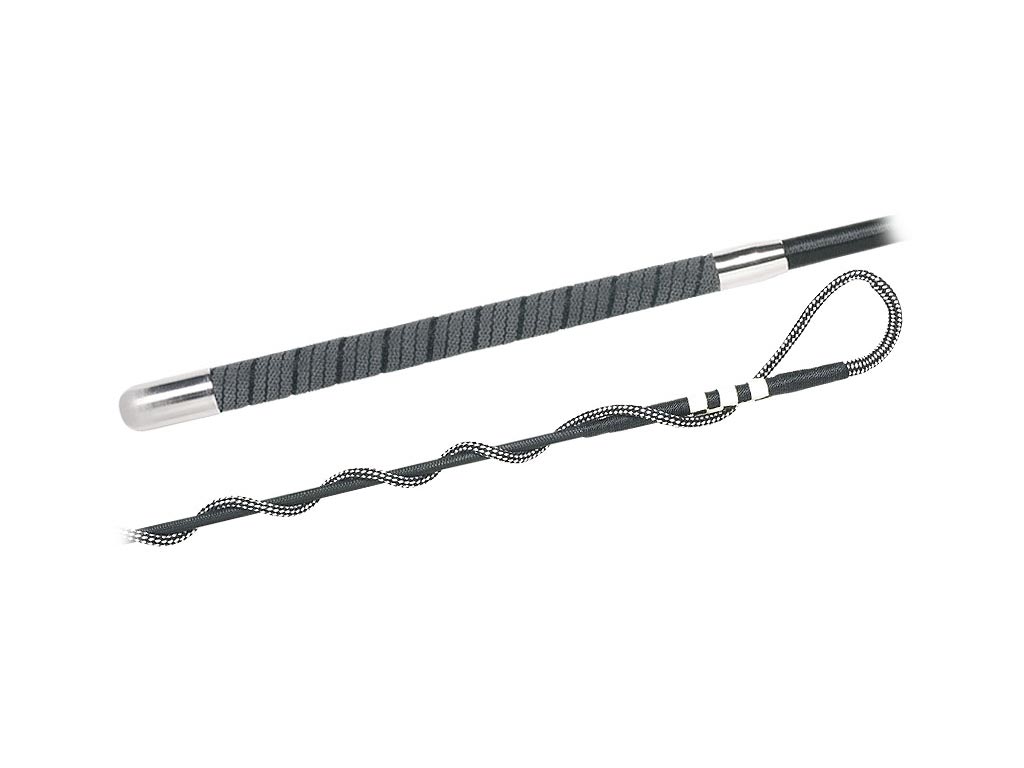 Schwarze Longierpeitsche