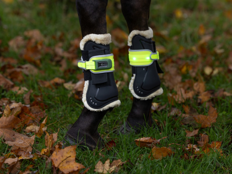 Pferd mi Gamaschen und Leuchtgamaschen