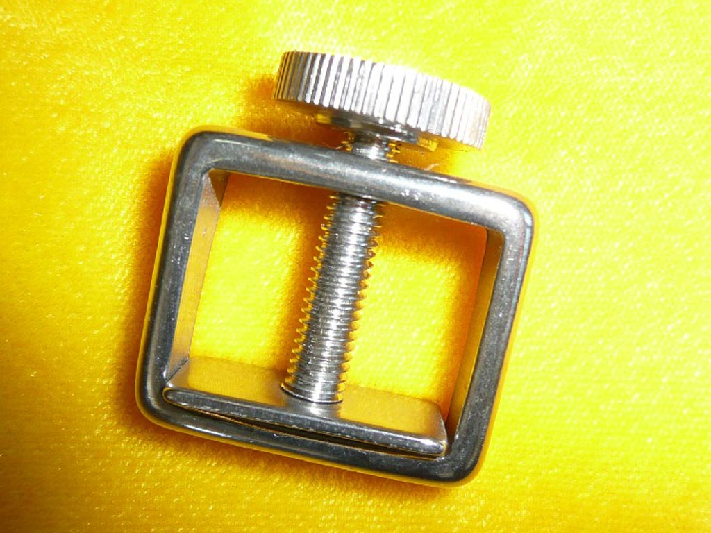 Silberner Leinenfrosch