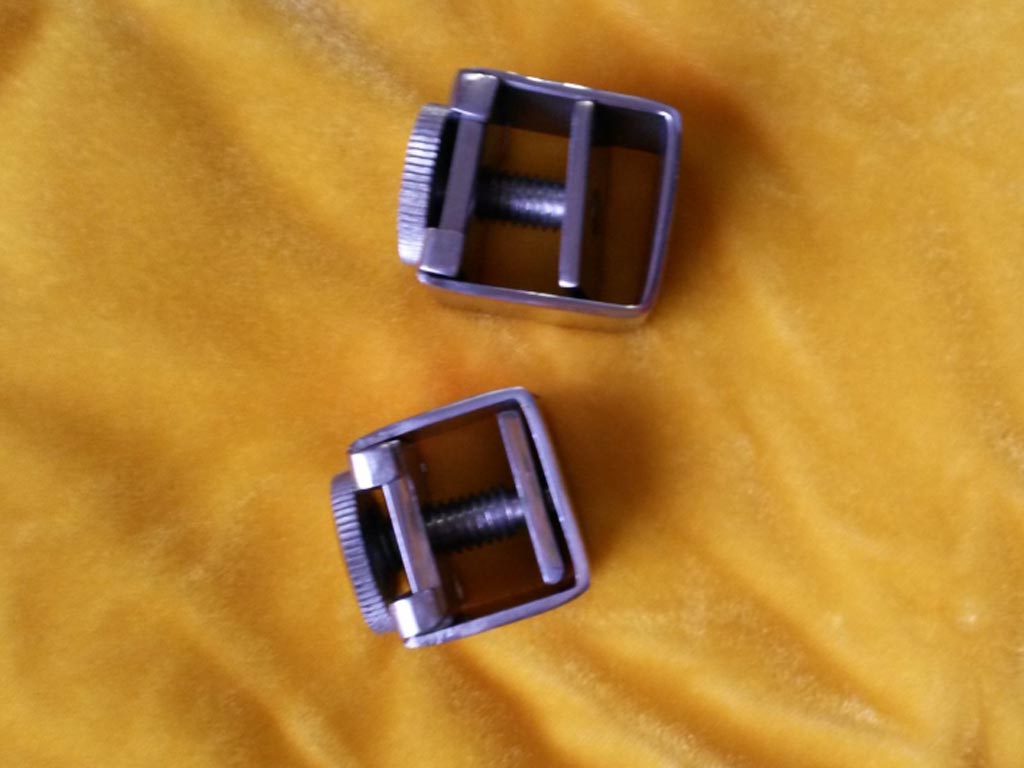 Zwei silberne Leinenfrösche für Pferdegeschirr