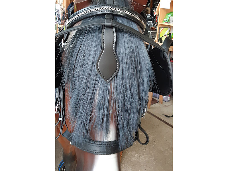 Pferdeattrappe mit Kopfgestell Arden Biothane Lux 