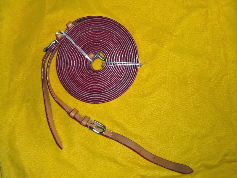 Braune Leine für Pferdegeschirr.