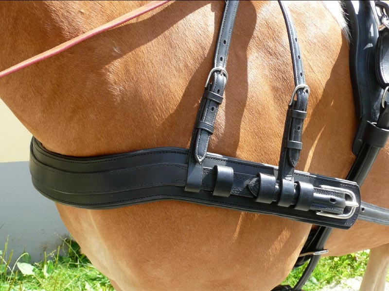 Brustblattgeschirr *Move* ab Shetty Brustblattgeschirr *Move* ab Shetty