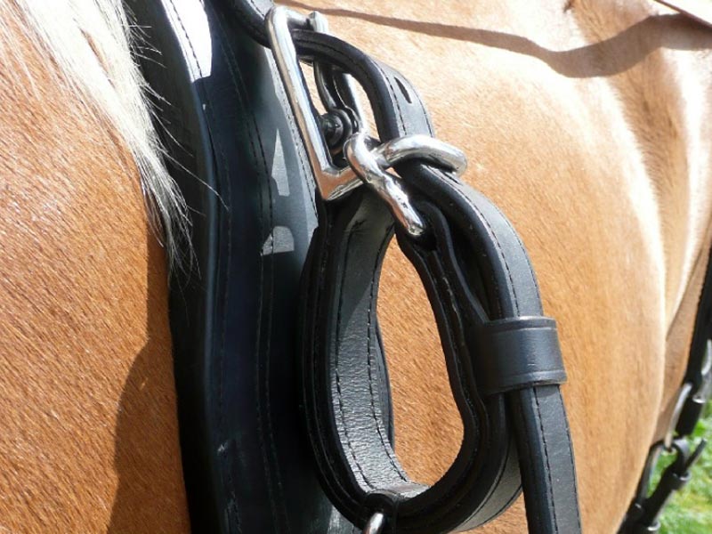 Brustblattgeschirr *Move* ab Shetty Brustblattgeschirr *Move* ab Shetty