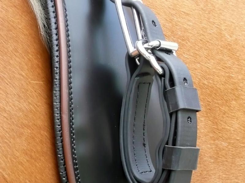 Braunes Pferd mit schwarzem Geschirr und schwarzer Leine