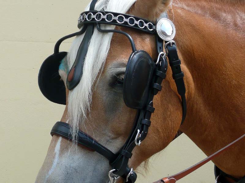 Ledergeschirr *Super Lux* Einspänner Ledergeschirr *Super Lux* Einspänner