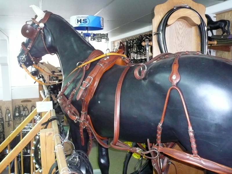 Ledergeschirr *Super Lux* Einspänner Ledergeschirr *Super Lux* Einspänner