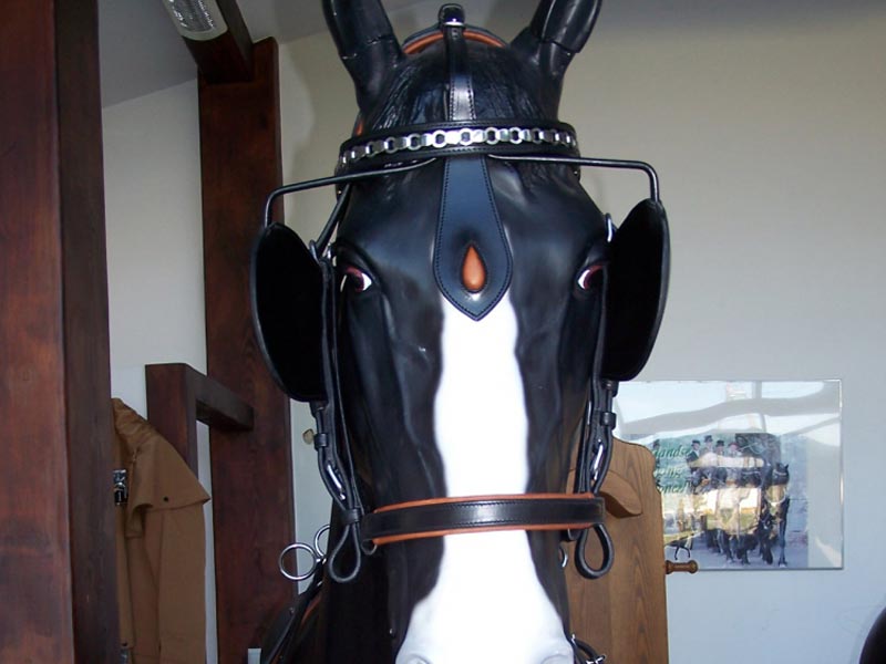 Ledergeschirr *Standard Lux* Einspänner Ledergeschirr *Standard Lux* Einspänner