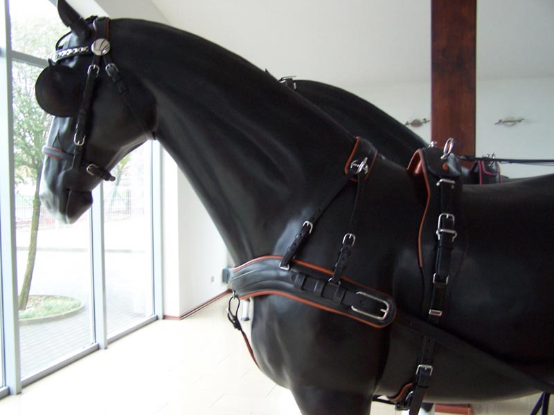 Ledergeschirr *Standard Lux* Einspänner Ledergeschirr *Standard Lux* Einspänner