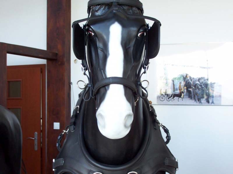 Pferdeattrappe mit französisch Kumt Marathon Zweispänner