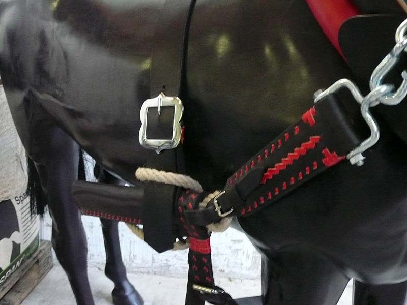Schwarze Pferdeattrappe mit rot schwarzem Pferdegeschirr