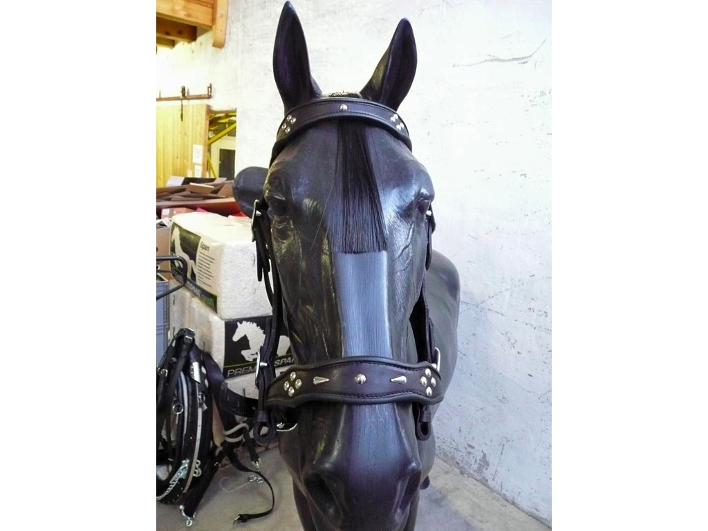 Schwarze Pferdeattrappe mit schwarzem Schmuckhalfter für Haflinger