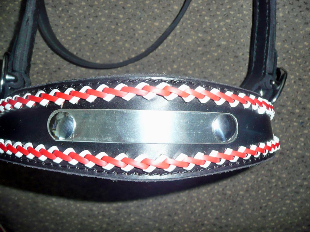 Schwarzes Kopfgestell mit Bestickung für Pferdegeschirr