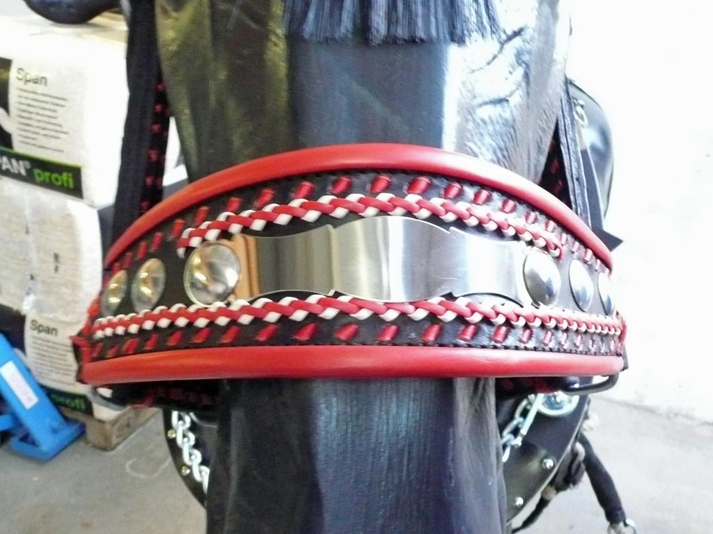 Schwarze Pferdeattrappe mit farbigem Kopfgestell