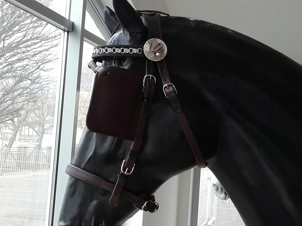 Biothane Französisch Kummet Lux Zweispänner