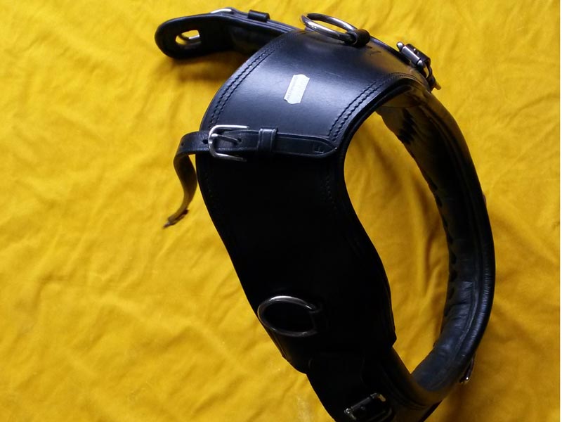 schwarzes Französisch Kummet 