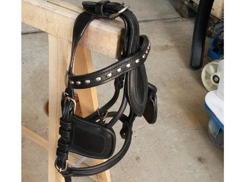 schwarzes Einspänner-Geschirr auf Holzgestell