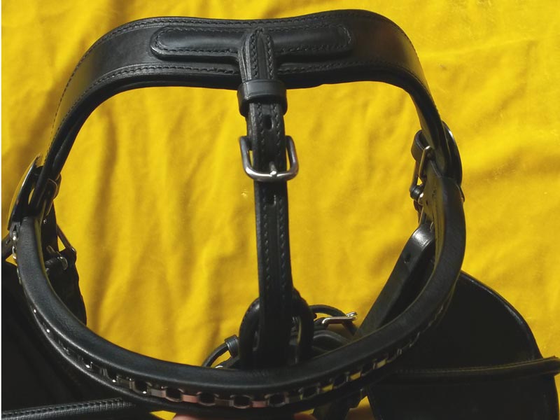 Ledergeschirr *Super Lux* Einspänner Ledergeschirr *Super Lux* Einspänner