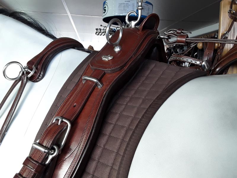 Ledergeschirr *Super Lux* Einspänner Ledergeschirr *Super Lux* Einspänner