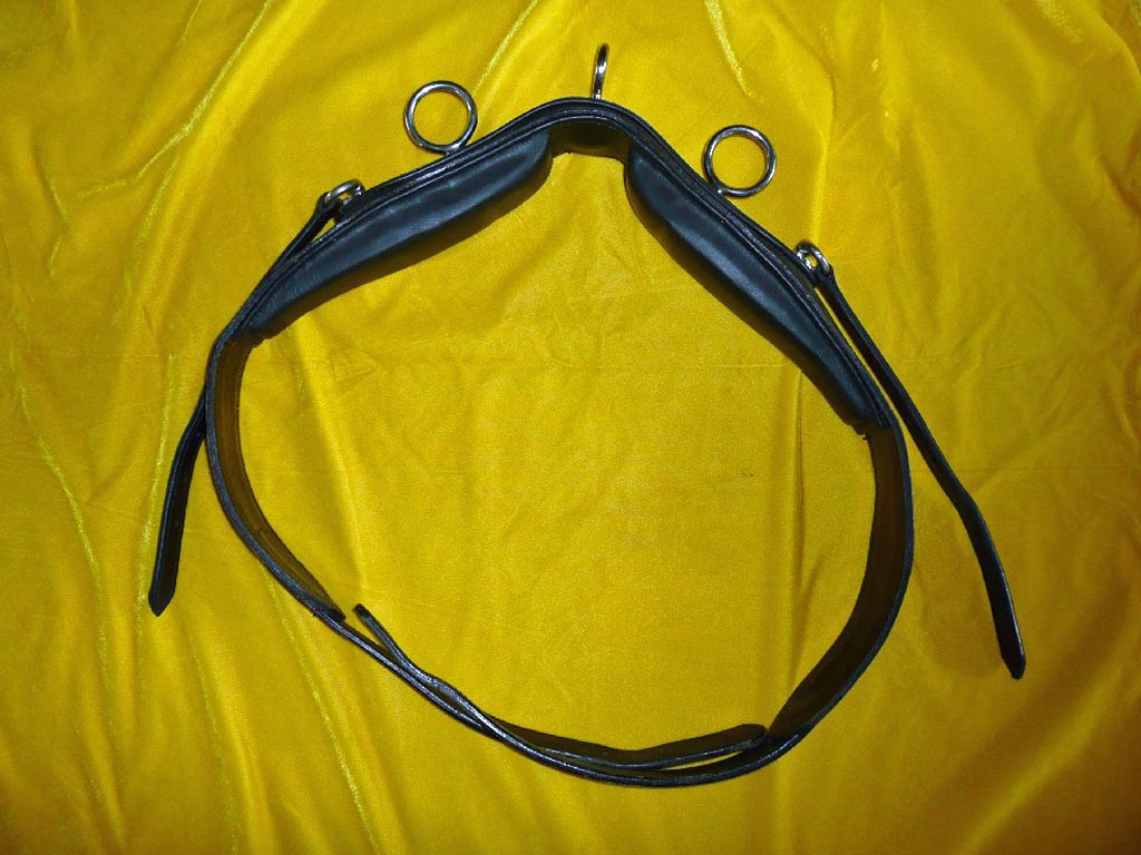 Schwarzer Kammdeckel für Pferdegeschirr