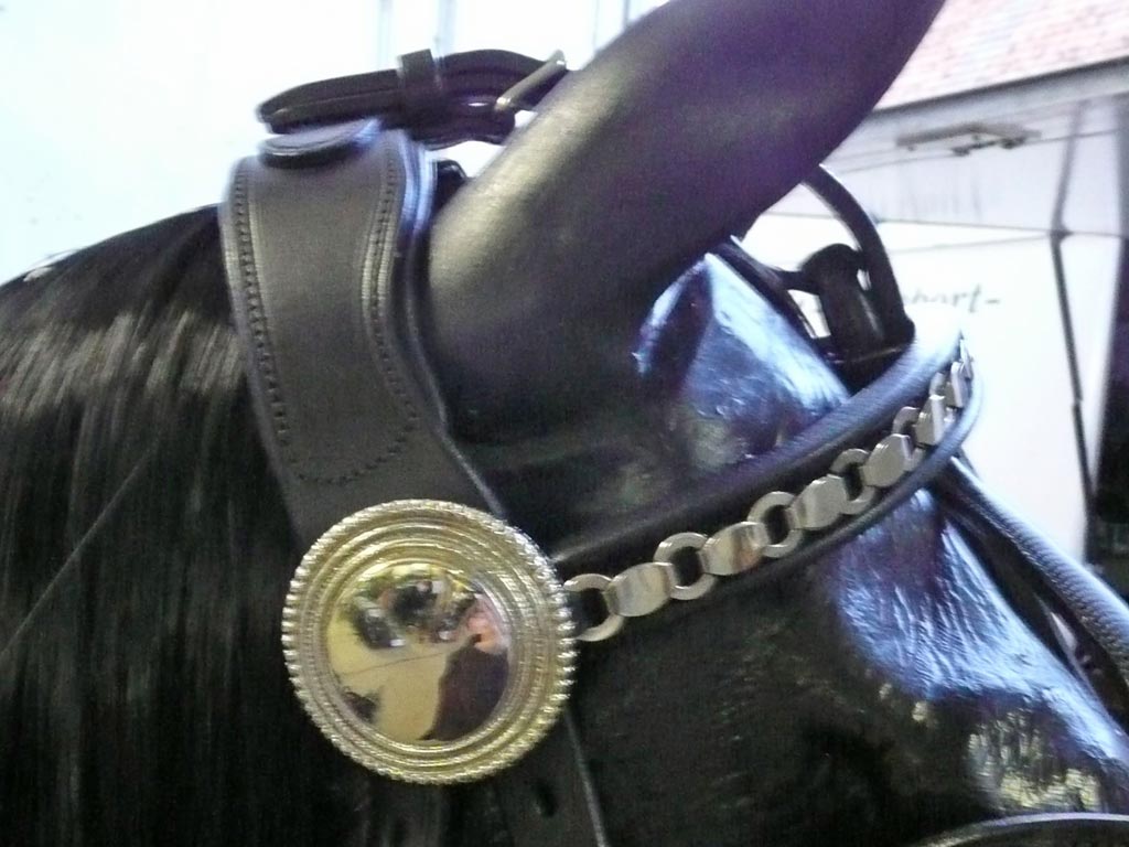 Schwarze Pferdeattrappe mit schwarzem Kopfteil und Scheuklappen