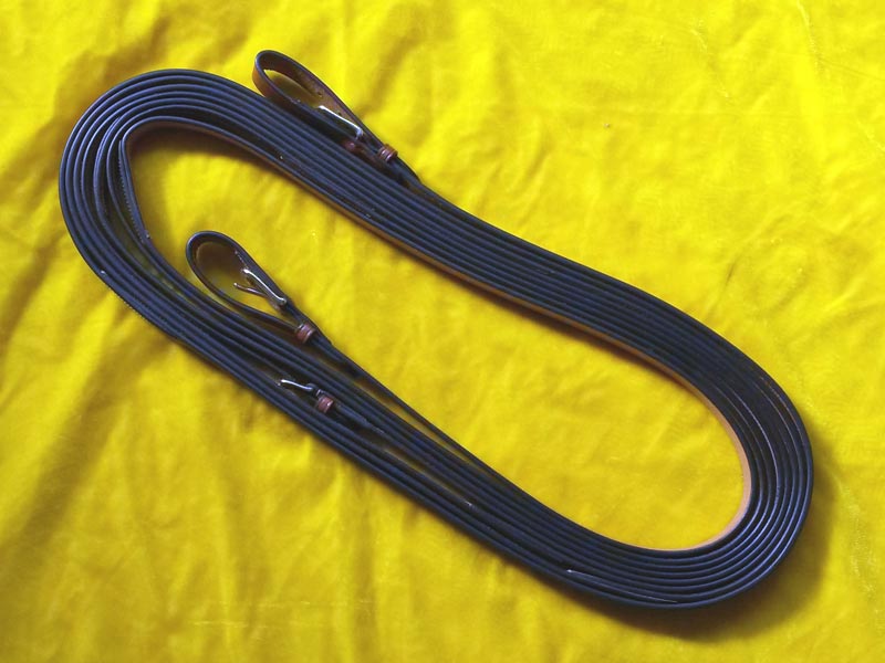 schwarze Leine Leder