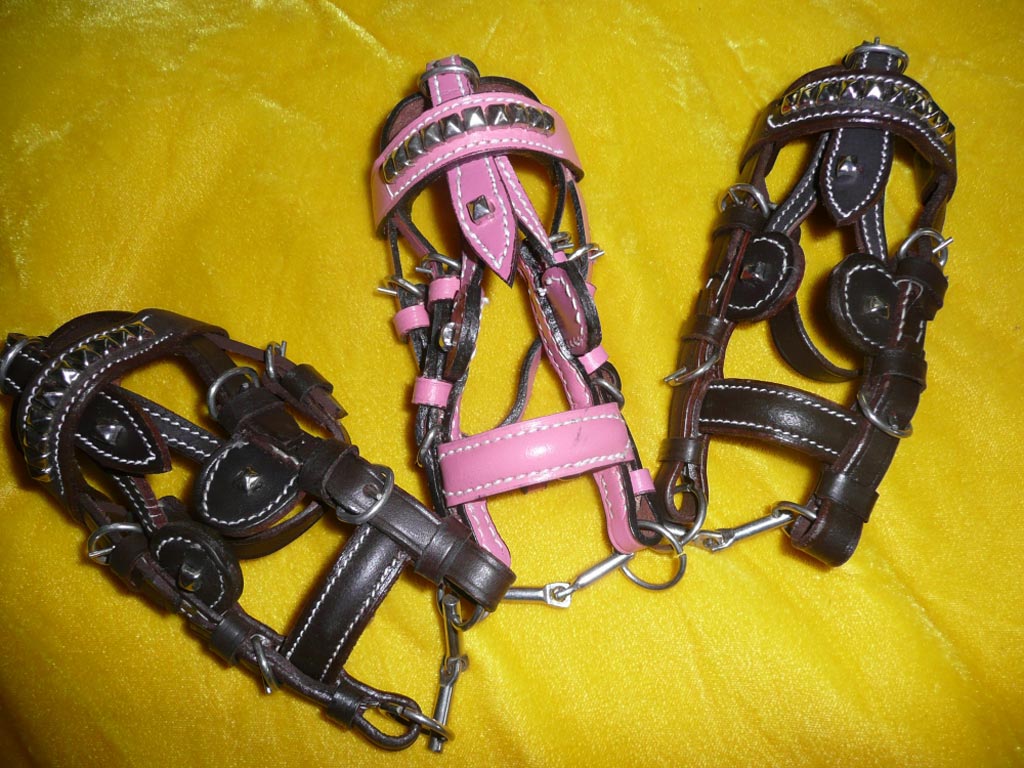 Mini-Fahrhalfter *Exklusiv*