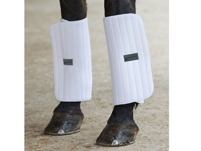 schwarze Pferdebeine mit weisen Bandagierkissen