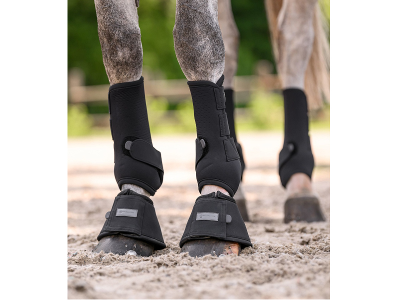Pferdebeine mit schwarzer Fesselkopfgamasche