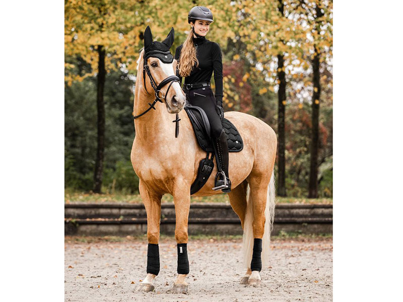 Pferd mit Reiterin und schwarzen Bandagen