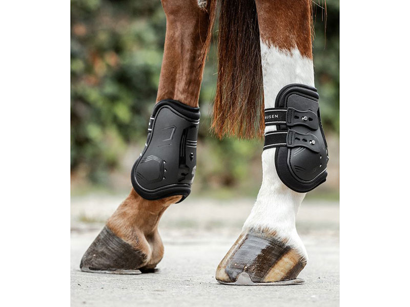 Pferdebeine mit schwarzen Streichkappen