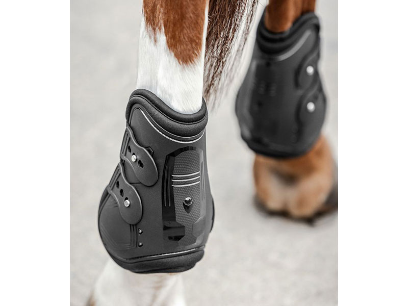 Pferdebeine mit schwarzen Streichkappen