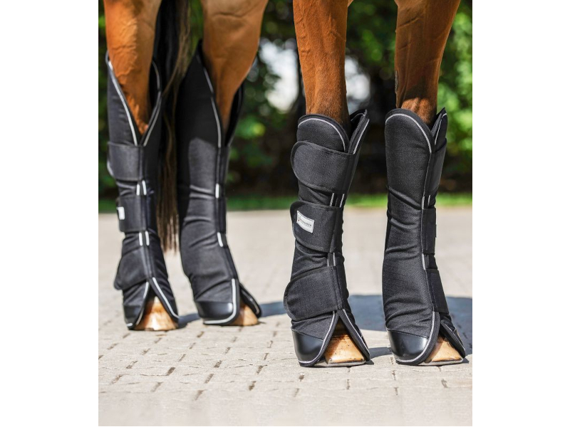 braunes Pferd mit schwarzen Transportgamaschen