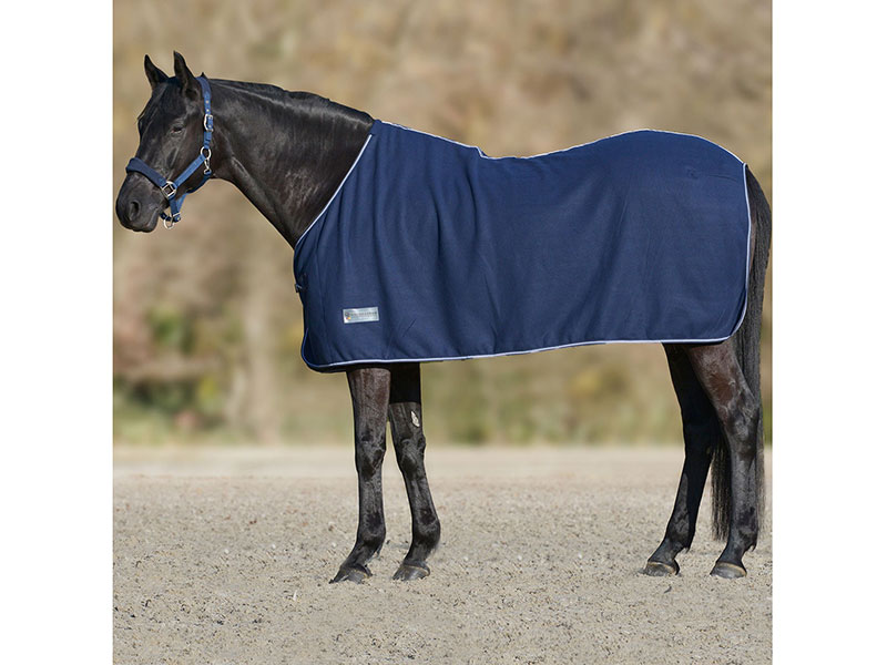 schwarzes Pferd mit blauer Fleecedecke