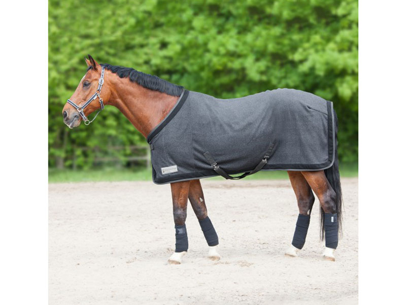 braunes Pferd mit schwarzer Fleecedecke und Gamaschen