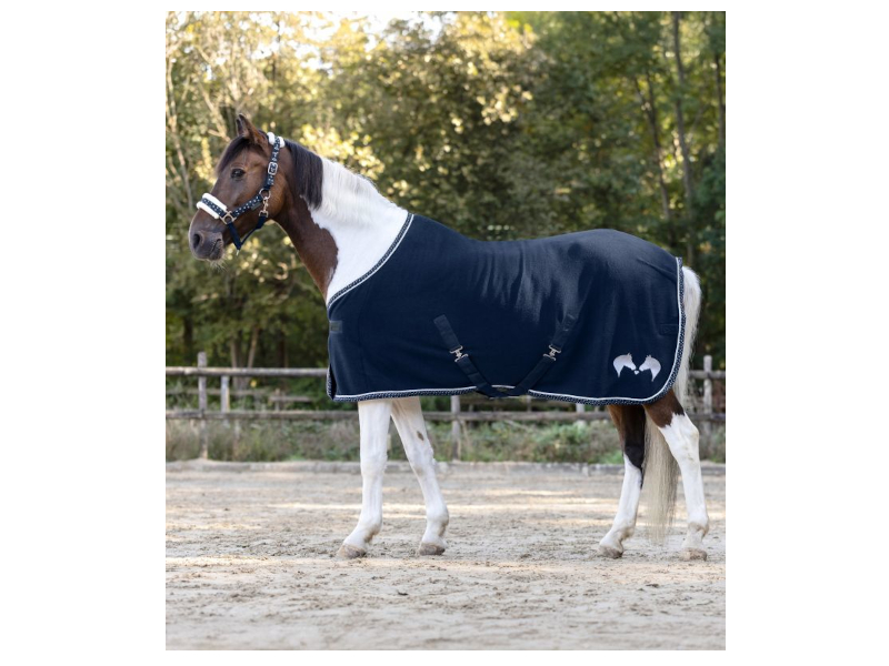 Geschecktes Pferd mit blauer Fleecedecke 
