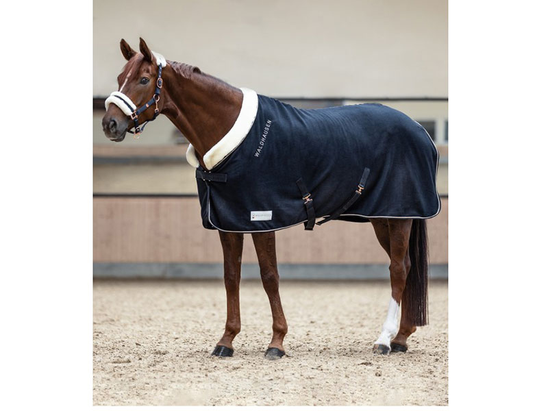 braunes Pferd mit blauer Fleecedecke rose
