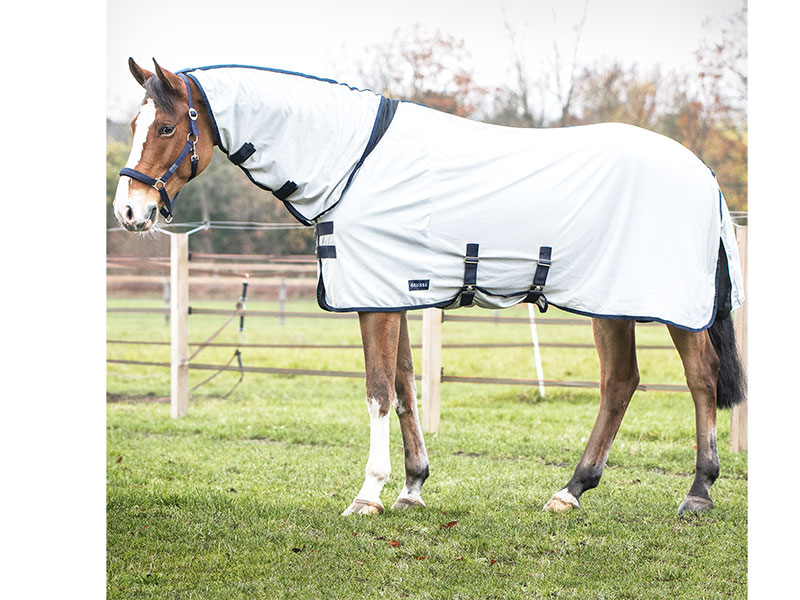 braunes Pferd mit hellgrauer Outdoor-Fliegendecke