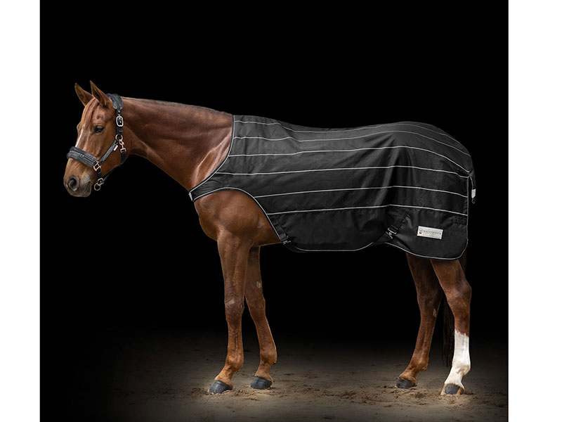 Führmaschinendecke *REFLEX*