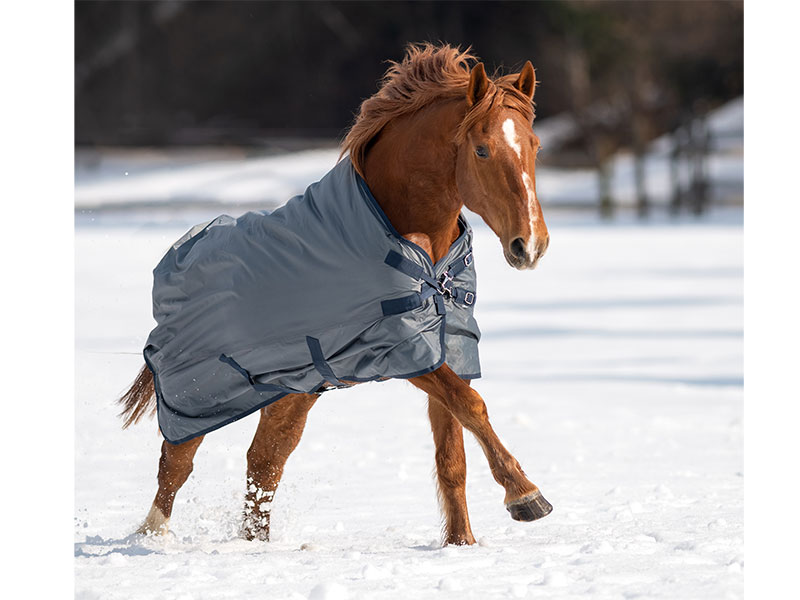 braunes Pferd mit grauer Decke im Schnee