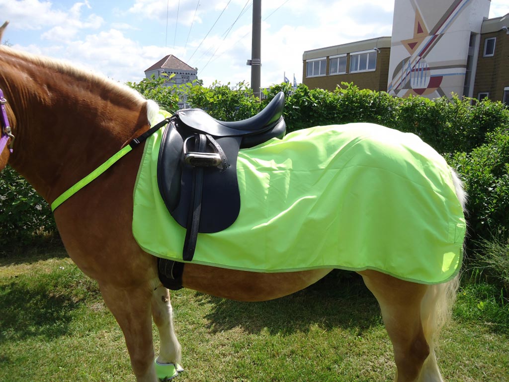 Braunes Pferd mit Reflexausreitdecke und Reflexvorderzeug