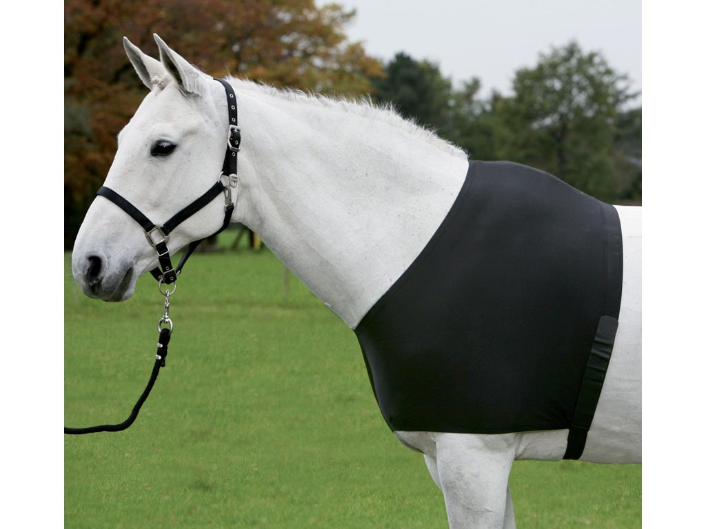 Weißes Pferd mit schwarzer Schutzdecke Vest