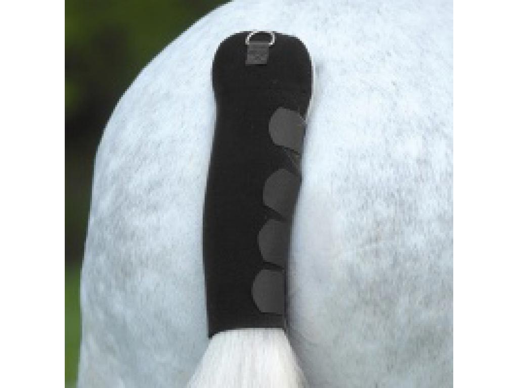 Weißer Pferdeschweif mit schwarzem Neoprenschoner