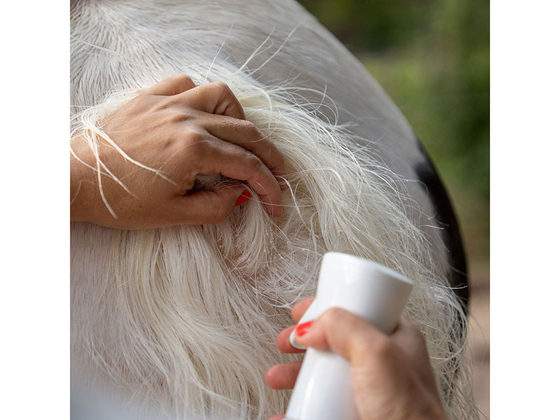 Hände die Schweif einsprühen