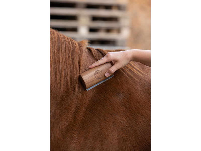 Metallstriegel mit Holzgriff kurz