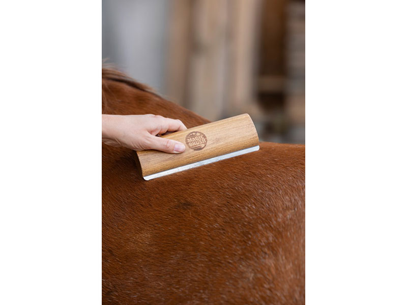 Metallstriegel mit Holzgriff lang