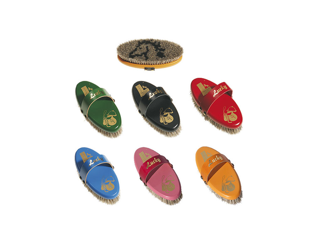 Kardätschen in verschiedenen Farben