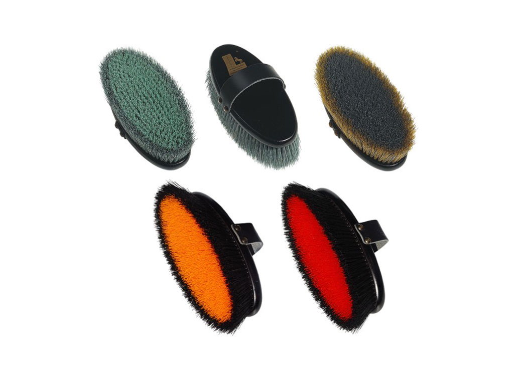 Wurzelkardätschen in verschiedenen Farben